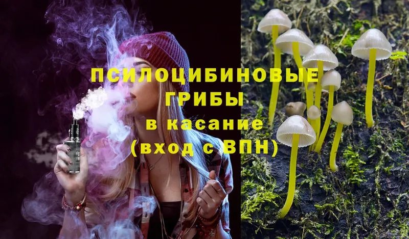 Галлюциногенные грибы MAGIC MUSHROOMS  где можно купить   Борисоглебск 